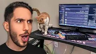 Reacting to Subscribers' Setups 10