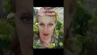 Есть схема часть 3