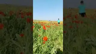 АССАЛАМУ АЛАЙКУМ  азизларим !!!
