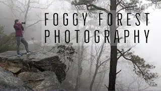 Foggy Forest Photography - A Landscape Photography Journey