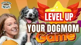 Dog Mom Mentality: Being Intentional And Reflective As A Dog Mom (Interview Highlights)