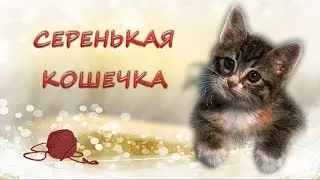 Кошечка Серенькая кошечка