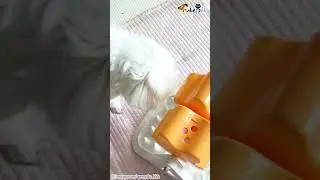 나올 때까지 돌린다...