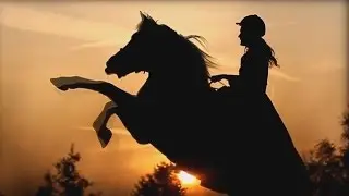 Horses - Кони ветров
