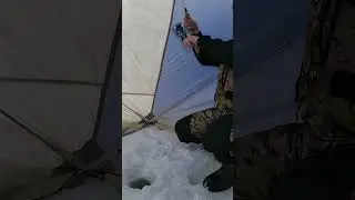 СЕЛ ПИТЬ ЧАЙ И СРАЗУ КЛЮЕТ
