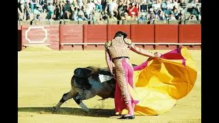 Bullfighting photo shoot tips