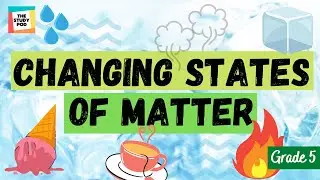 CHANGING STATES OF MATTER | SCIENCE | GRADE 5 | The Study Pod