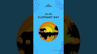 Save the Elephant Day | Champions Academy | 2023