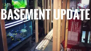 Basement Update