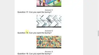 Spot The Bunny Quiz Solution Diva Quiz Solution Quiz Help