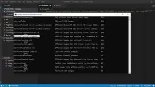 host .net framework in Docker
