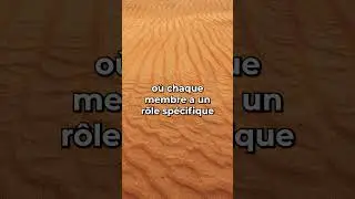 Connais tu ??