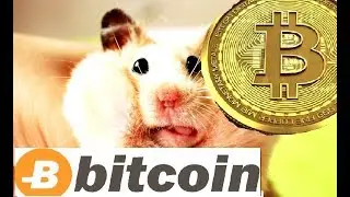 Биткоин Мышонок или Мышонок для Майнинга. Экономия электричества Майнинг