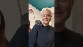 Мои любимые КРЫСЫ 