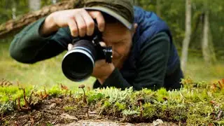 Turn Your Telephoto Lens into a Macro Lens | NISI Close up Filter | OM-1, 40-150mm f/2.8