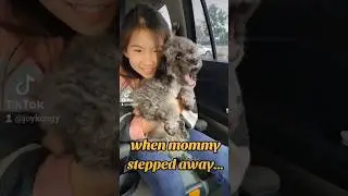 Mommy, where are you?