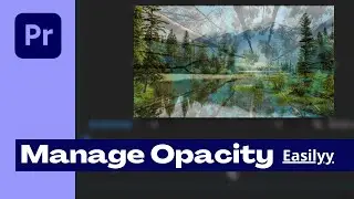 How to Change Opacity || 2 Ways to Manage Opacity in Adobe Premiere Pro || Urdu/Hindi