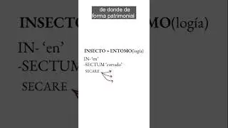 Algunas palabras relacionadas con el latín SECTUM 'cortado'
