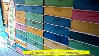 Пасека. Хранение суши в корпусах.