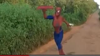 African Spider-Man part 2