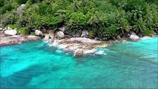 Dennis Herzog is a video producer of amateur videos, he loves to shoot in nature