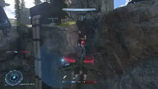 Flag rescue with the wasp