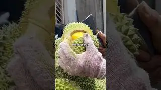 COME TRY THE STINKIEST FRUIT IN THE WORLD WITH ME!💚 #durian #durianmusangking #vlog #veganfood