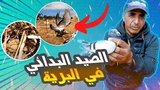 البرية المغربية : تحدي صيد الحمام بفخ بدائي 😱 واخيرا وجدت عش الطائر الدكي!!...وثائقي