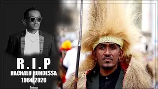 HACHALU HUNDESA (1984 - 2020)