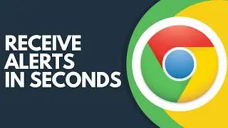 Trying to Enable Notifications in Chrome? Follow This Step by Step