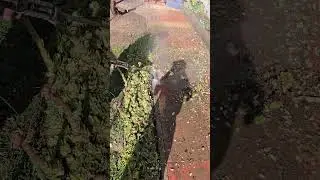Pressure washing 07858424693