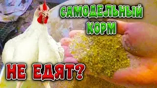САМОДЕЛЬНЫЙ КОРМ для БРОЙЛЕРНОЙ ПТИЦЫ // НЕ ЕДЯТ?