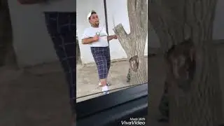 Гьай гьай