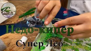 Недо-кипер! Супер Лео Недо киперы