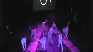 Мodern Class - Линия души (Транспарт 2011)