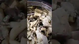 в 12 ночи сварил грибы