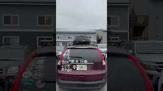 Ворона срывает флаг Палестины с машины