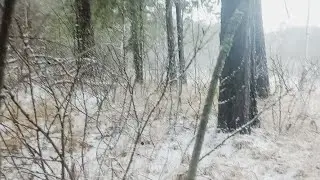 Успешный Крайний выход на коп. Нечастые монеты.
