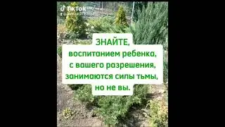 Родители! Воспитывайте детей своих сами, не отдавайте их силам тьмы.