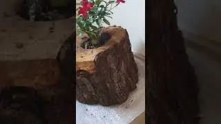 Dış mekan dekorasyonu