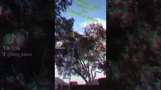 Tree cut rope down technique