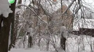 2017 - год экологии