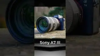 Best Cameras For Astrophotography in 2023 