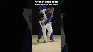 Интернет школа дзюдо.  Уроки. Программы.