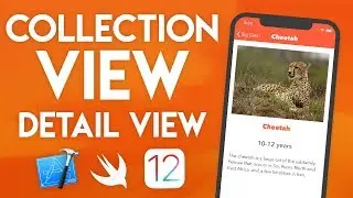 Swift 4.2 Xcode Tutorial - Collection View Part 4 - iOS 12 Geeky Lemon Development