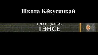 ТЭНСЁ. 1 ДАН
