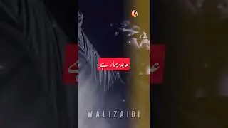 25 Muharram 1445 | Wali Zaidi #shorts #nohay