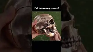 Human skull metal casting - 3D print into solid BRONZE.