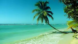 Calming Ocean Waves (Tobago)