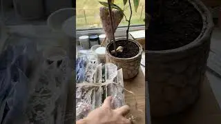 Огляд дитячого фото альбому для дівчинки на замовлення #альбомпершийрік #скрапбукінг